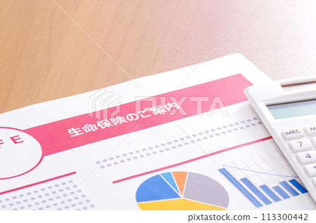 考慮和審查醫療保險和人壽保險的形象 考慮和審查醫療保險和人壽保險的形象 113300442