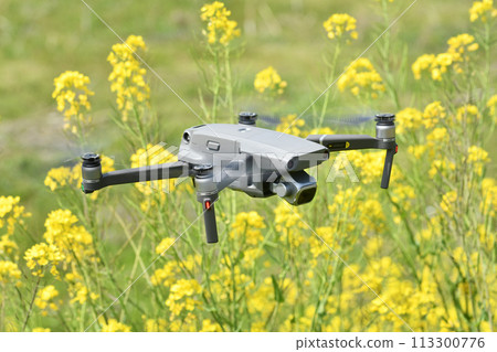A drone flying over rapeseed flowers 113300776