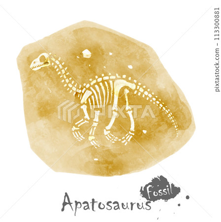 Fossil of Apatosaurus dinosaur in rock . Watercolor paint design . Vector . 113300881
