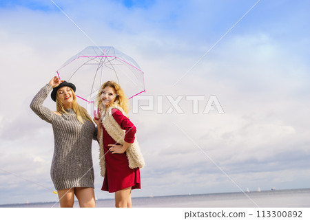 Two fashionable women and umbrella 113300892