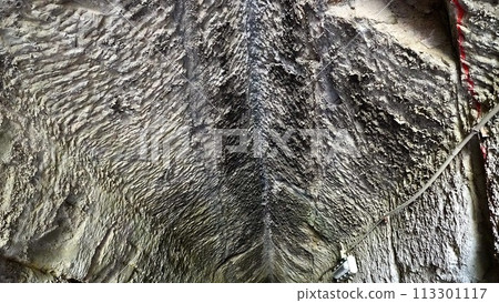 The ceiling of Eishoji Tunnel in Ichihara City, Chiba Prefecture 113301117