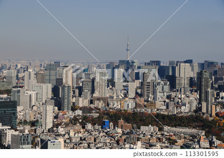 Business concept for real estate and corporate construction Nov 29 2023 Business concept for real estate and corporate construction Nov 29 2023 113301595