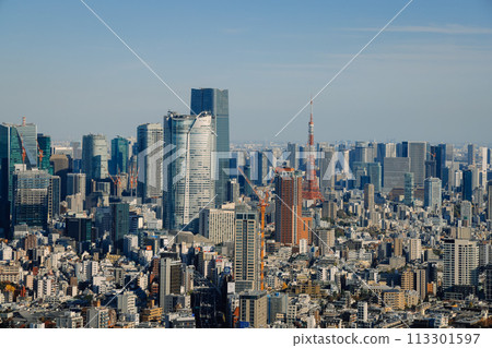 Tokyo seen from the roof of Shibuya Scramble Square Nov 29 2023 113301597