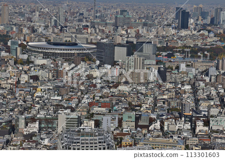 A panoramic cityscape at in Tokyo, japan Nov 29 2023 113301603