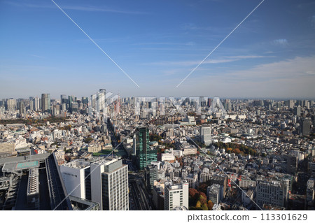 Scenic aerial shot of Tokyo with blue sky Nov 29 2023 113301629