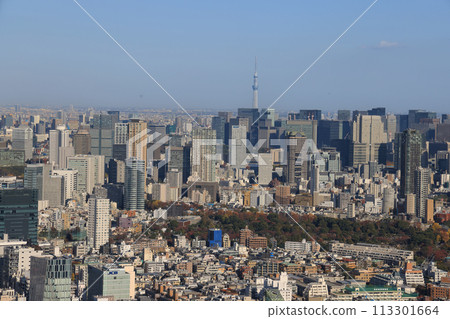 Nov 29 2023 a modern office building and blue sky, japan Nov 29 2023 a modern office building and blue sky, japan 113301664