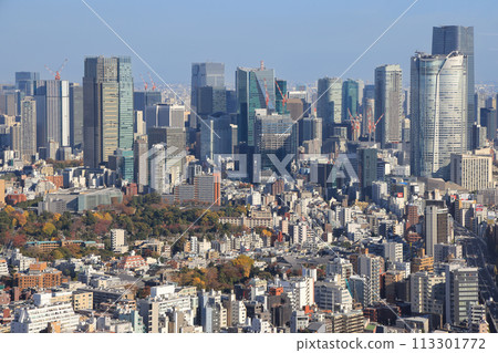 Tokyo skyline seen from the Shibuya Sky Nov 29 2023 Tokyo skyline seen from the Shibuya Sky Nov 29 2023 113301772