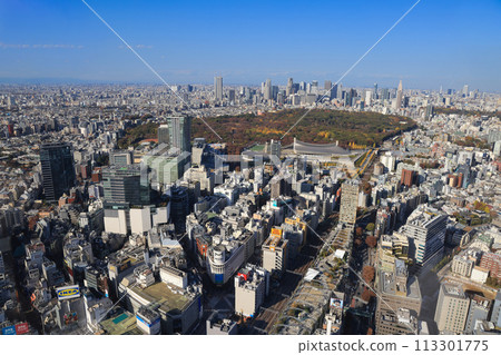 Nov 29 2023 the skyline of Tokyo from Shibuya Sky, Tokyo, Japan Nov 29 2023 the skyline of Tokyo from Shibuya Sky, Tokyo, Japan 113301775