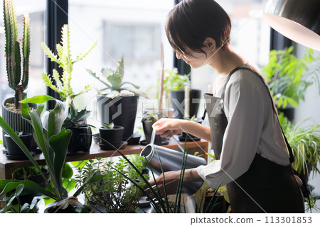 在園藝、園藝或花店工作的女性形象 113301853