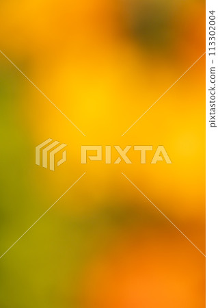 背景材質漸層橙色秋天 113302004