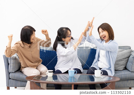 看電視的高級婦女 看電視的高級婦女 113302110