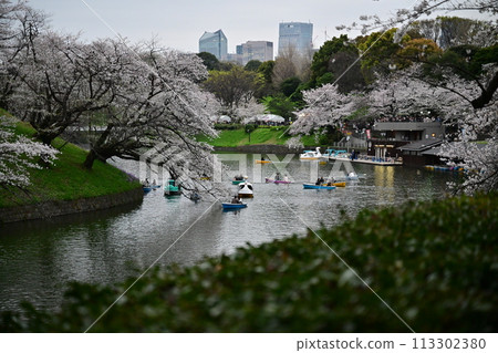 Cherry blossoms and boats at Chidorigafuchi 113302380