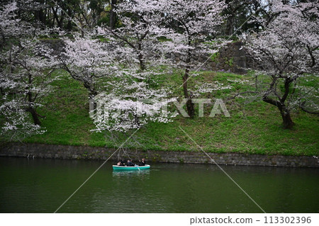 Cherry blossoms and boats at Chidorigafuchi 113302396