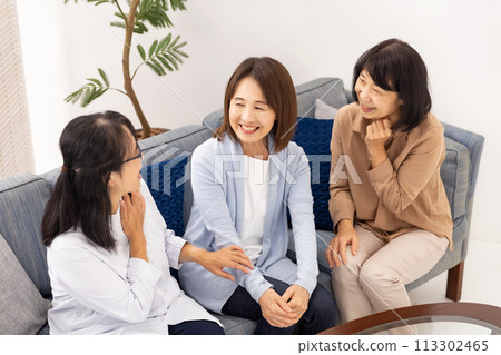 Senior women chatting in the living room Senior women chatting in the living room 113302465