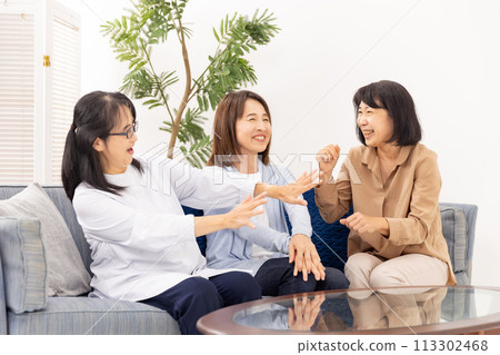 Senior women chatting in the living room 113302468