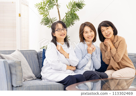 Senior women chatting in the living room Senior women chatting in the living room 113302469