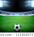 soccer field and the bright lights 113302673
