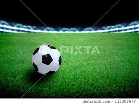soccer field and the bright lights 113302677