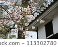 Bikan Historical Quarter in Spring with Cherry Blossoms 113302780