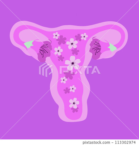 Vector isolated illustration of stylized female uterus. Vector isolated illustration of stylized female uterus. 113302974