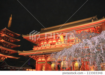 盛開的櫻花和淺草寺寶藏門 - 東京旅遊勝地 113303348