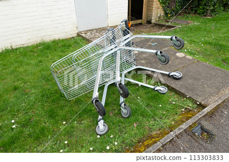 Abandoned Shopping Trolleys on a Grass Verge in a Town on their Side Next To A Path 113303833