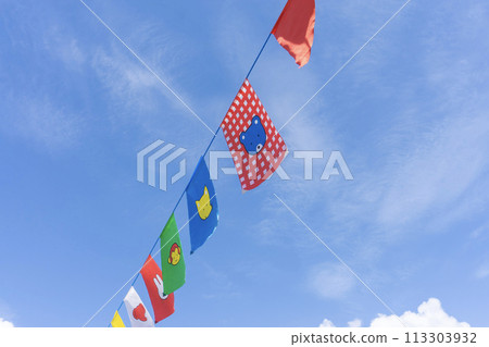 Sports day flag 113303932