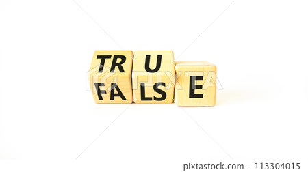 False or true symbol. Turned wooden cubes and changed the word false to true or vice versa. Beautiful white table, white background, copy space. Business and false or true concept. False or true symbol. Turned wooden cubes and changed the word false to true or vice versa. Beautiful white table, white background, copy space. Business and false or true concept. 113304015