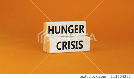 Hunger crisis symbol. Concept words Hunger crisis on wooden blocks on a beautiful orange table orange background. Business, support and Hunger crisis concept. Copy space. 113304252