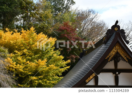 神社和秋葉的屋頂 113304289