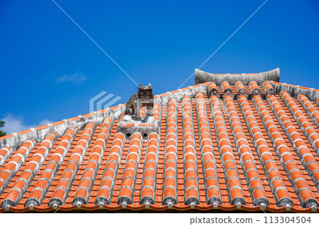 沖繩縣、竹富島、琉球紅瓦屋頂和Shisa 沖繩縣、竹富島、琉球紅瓦屋頂和Shisa 113304504