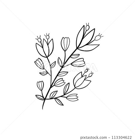 Botanical linear leaf. Abstract minimalist leaves collection, creative herbal art. Vector illustration 113304622