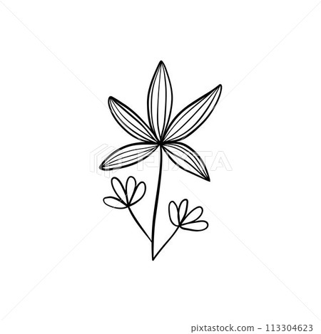 Botanical linear leaf. Abstract minimalist leaves collection, creative herbal art. Vector illustration 113304623
