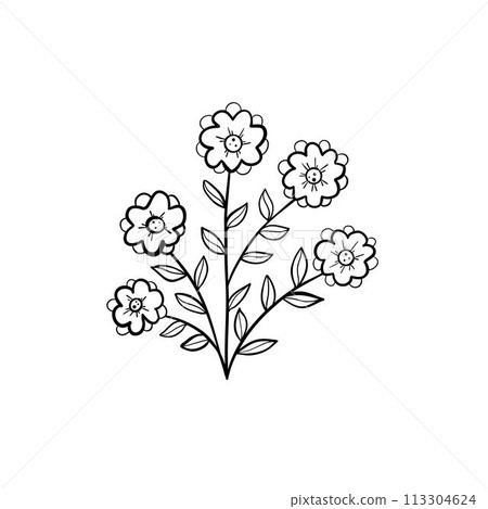 Botanical linear leaf. Abstract minimalist leaves collection, creative herbal art. Vector illustration 113304624