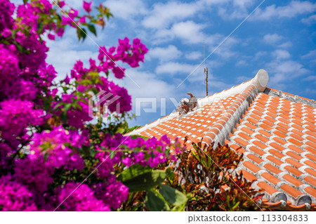 沖繩縣竹富島琉球紅瓦屋頂風獅爺和九重葛花 113304833
