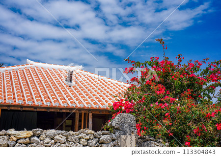 Okinawa Prefecture, Taketomi Island, Ryukyu red tile roof, Shisa and bougainvillea flowers 113304843