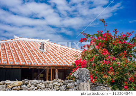 Okinawa Prefecture, Taketomi Island, Ryukyu red tile roof, Shisa and bougainvillea flowers 113304844
