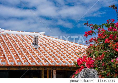 Okinawa Prefecture, Taketomi Island, Ryukyu red tile roof, Shisa and bougainvillea flowers Okinawa Prefecture, Taketomi Island, Ryukyu red tile roof, Shisa and bougainvillea flowers 113304845