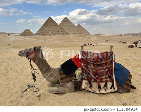 Egyptian pyramid 113304914