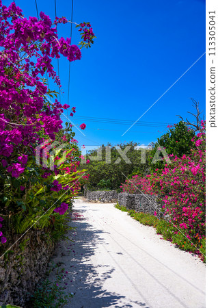 沖繩竹富島石牆、九重葛和白沙路 113305041