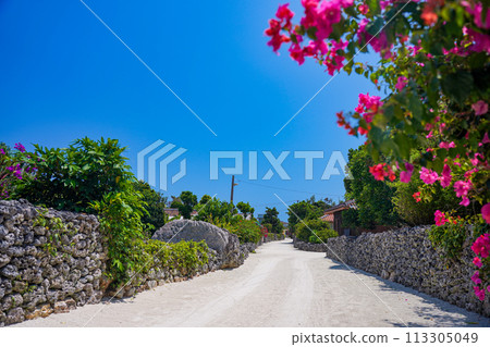 沖繩竹富島石牆、九重葛和白沙路 沖繩竹富島石牆、九重葛和白沙路 113305049