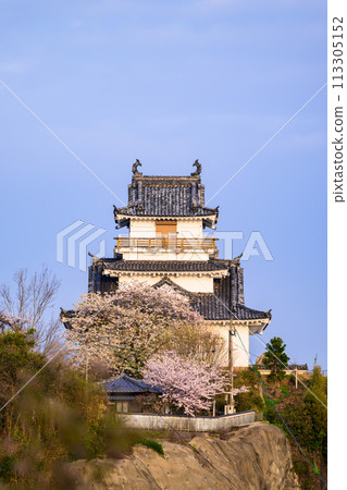 Kitsuki castle 113305152