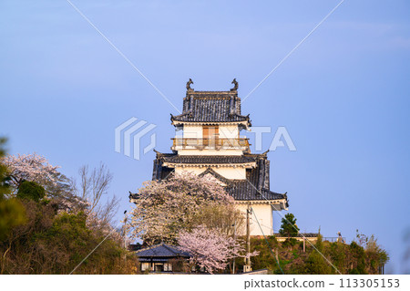 杵城堡 杵城堡 113305153