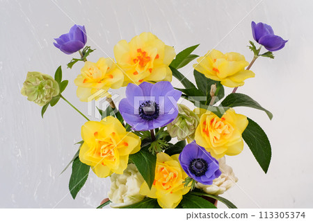 水仙花和海葵插花 水仙花和海葵插花 113305374
