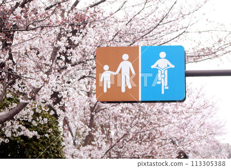 自行車人行道自行車道人行道標誌路標 自行車人行道自行車道人行道標誌路標 113305388