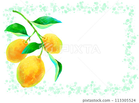 Lemon with branch, horizontal frame Lemon with branch, horizontal frame 113305524