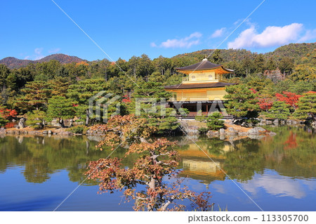 Pagoda waiting for the sunrise 113305700