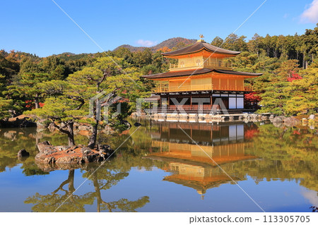 Pagoda waiting for the sunrise 113305705