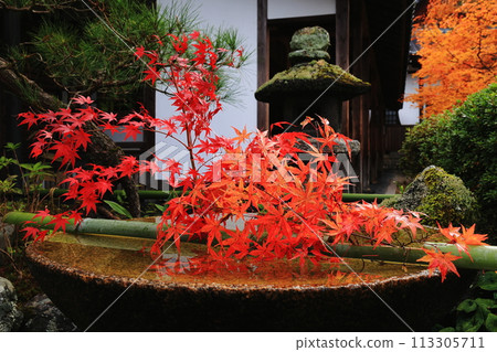 Pagoda waiting for the sunrise 113305711