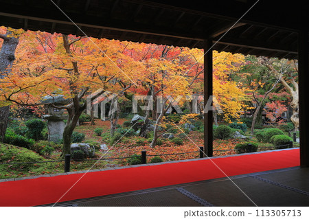 Pagoda waiting for the sunrise Pagoda waiting for the sunrise 113305713